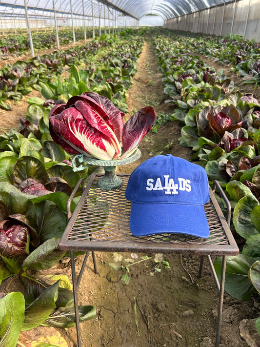Pre-Order Salads Hat